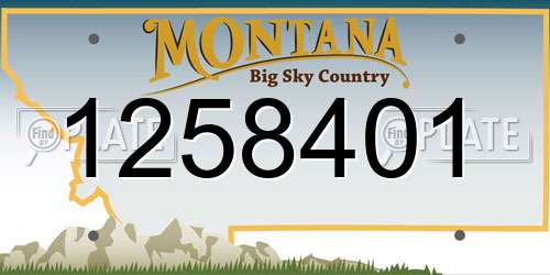 1258401 Montana License Plate