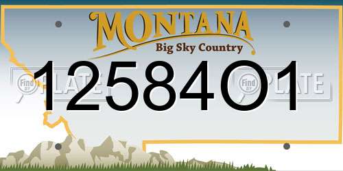 12584O1 Montana License Plate