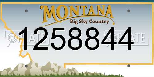 1258844 Montana License Plate