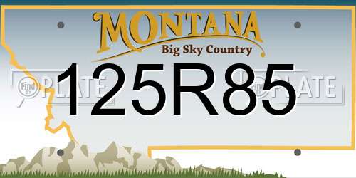 125R85 Montana License Plate