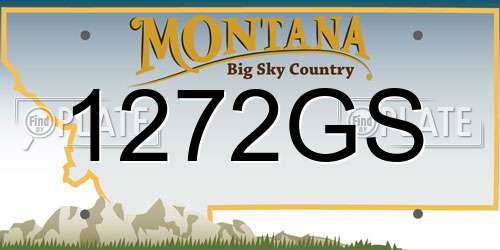 1272GS Montana License Plate