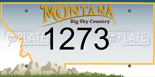 1273 Montana License Plate