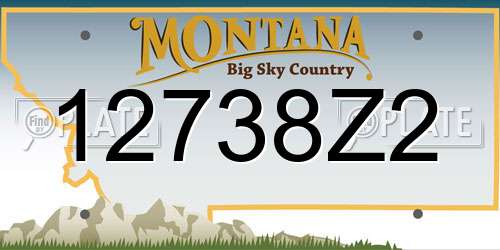 12738Z2 Montana License Plate