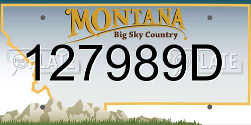 127989D Montana License Plate