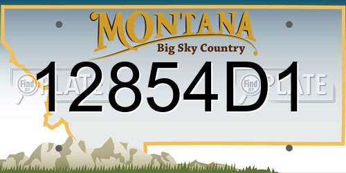 12854D1 Montana License Plate