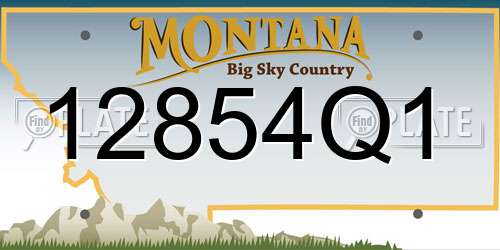 12854Q1 Montana License Plate