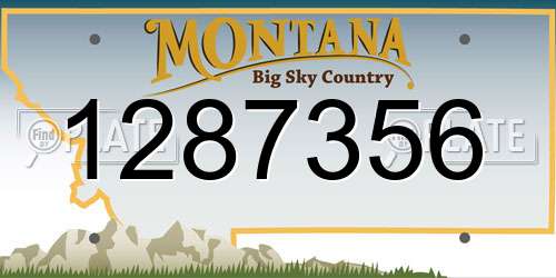 1287356 Montana License Plate