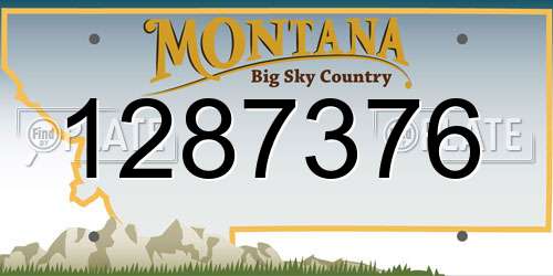 1287376 Montana License Plate