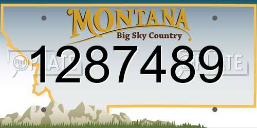 1287489 Montana License Plate