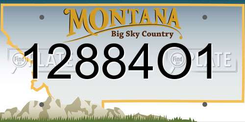 12884O1 Montana License Plate