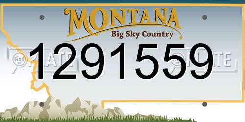 1291559 Montana License Plate
