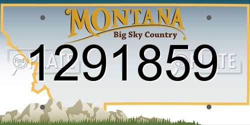 1291859 Montana License Plate