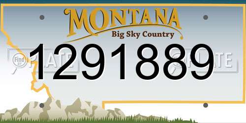 1291889 Montana License Plate