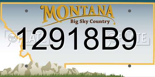 12918B9 Montana License Plate