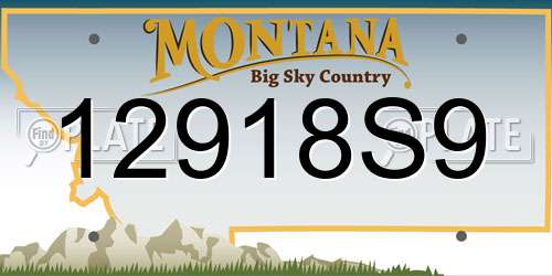 12918S9 Montana License Plate