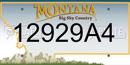 12929A4 Montana License Plate