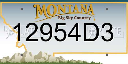 12954D3 Montana License Plate