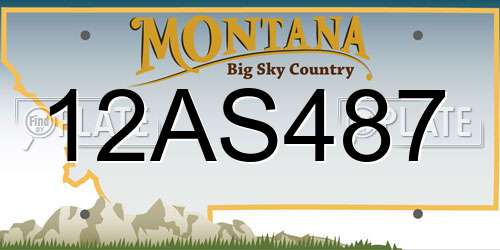 12AS487 Montana License Plate