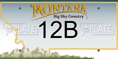 12B Montana License Plate