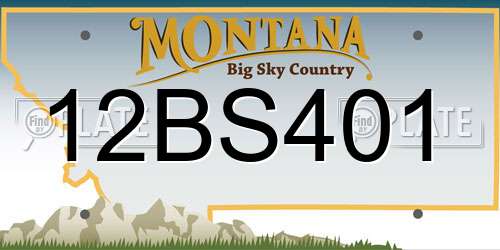 12BS401 Montana License Plate