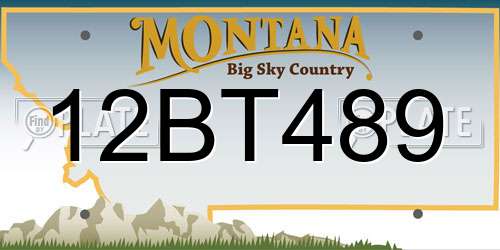 12BT489 Montana License Plate