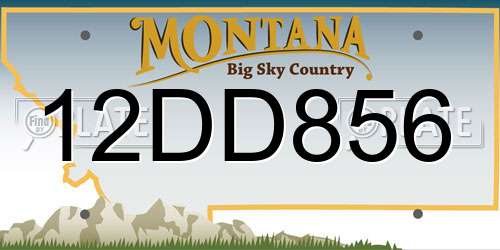 12DD856 Montana License Plate