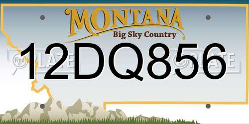 12DQ856 Montana License Plate