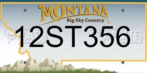 12ST356 Montana License Plate