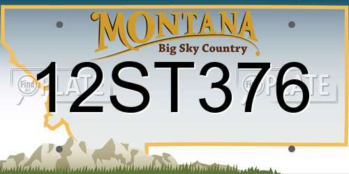 12ST376 Montana License Plate