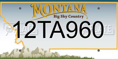 12TA960 Montana License Plate