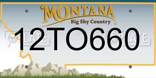 12TO660 Montana License Plate