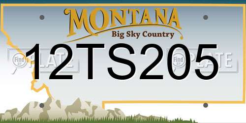 12TS205 Montana License Plate
