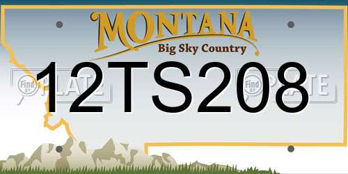 12TS208 Montana License Plate