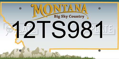 12TS981 Montana License Plate