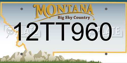 12TT960 Montana License Plate