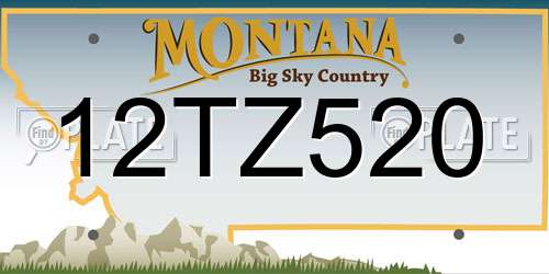 12TZ520 Montana License Plate