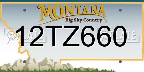 12TZ660 Montana License Plate