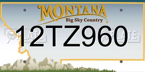 12TZ960 Montana License Plate