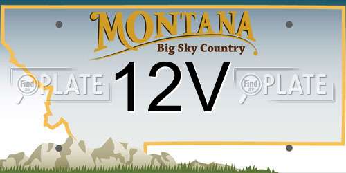 12V Montana License Plate