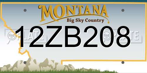 12ZB208 Montana License Plate