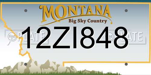 12ZI848 Montana License Plate