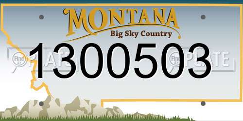 1300503 Montana License Plate