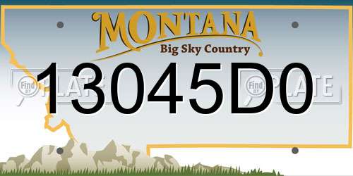13045D0 Montana License Plate