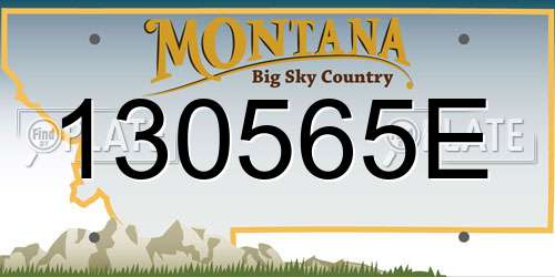 130565E Montana License Plate