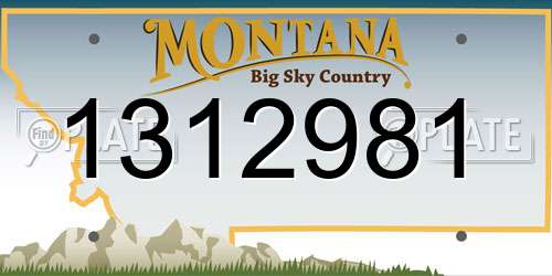 1312981 Montana License Plate