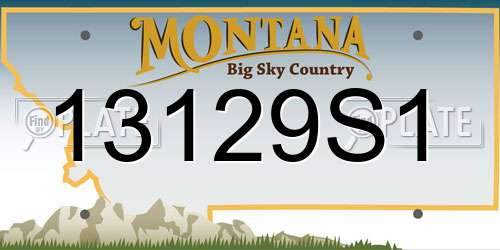 13129S1 Montana License Plate