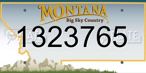 1323765 Montana License Plate