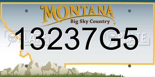 13237G5 Montana License Plate