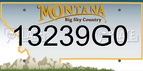 13239G0 Montana License Plate