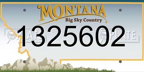 1325602 Montana License Plate